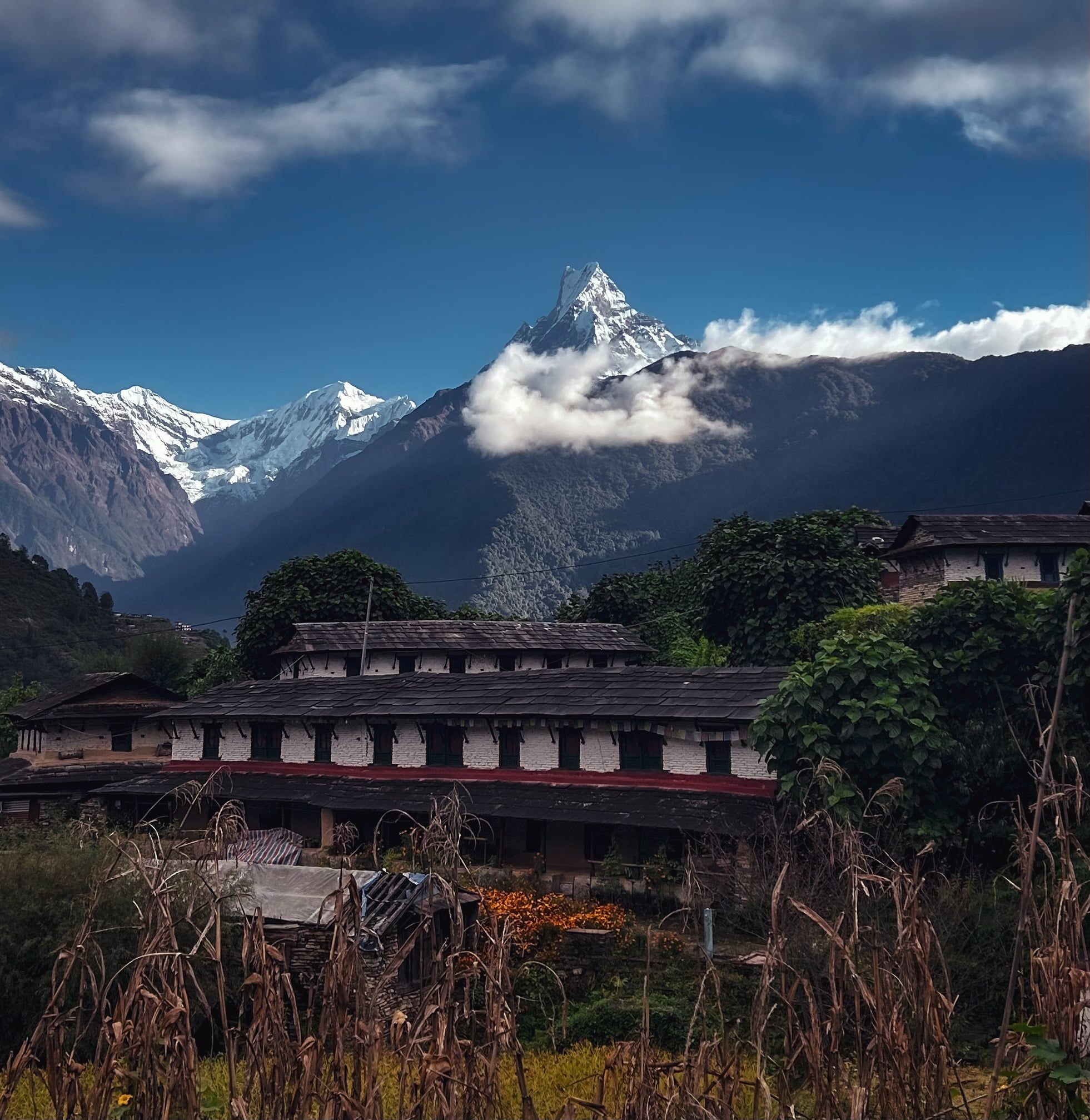 Annapurna Base Camp Trek thumbnail 11