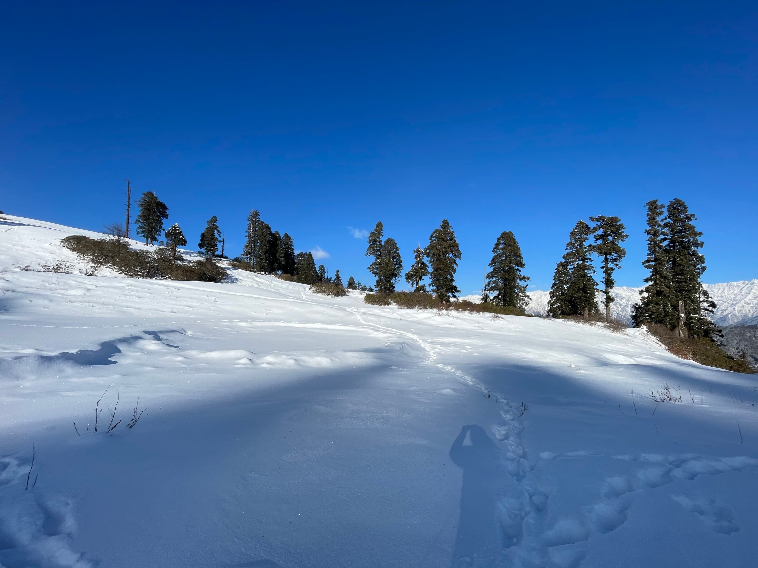 Gulabi Kantha Winter Trek thumbnail 4
