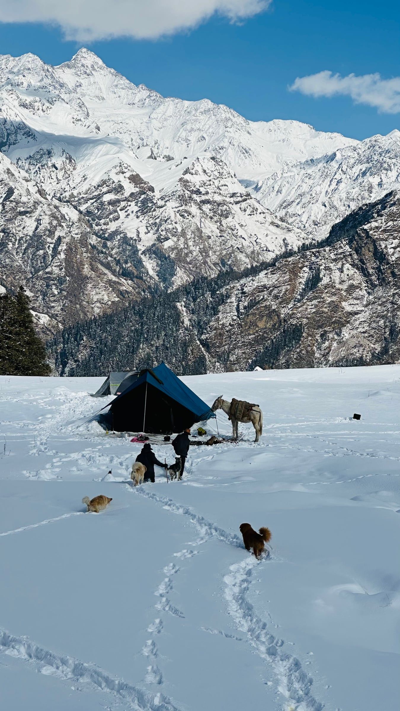 Gulabi Kantha Winter Trek thumbnail 5