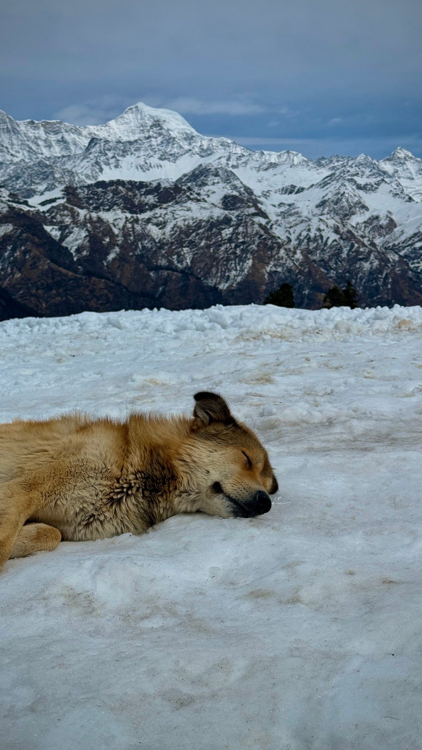 Gulabi Kantha Winter Trek thumbnail 10