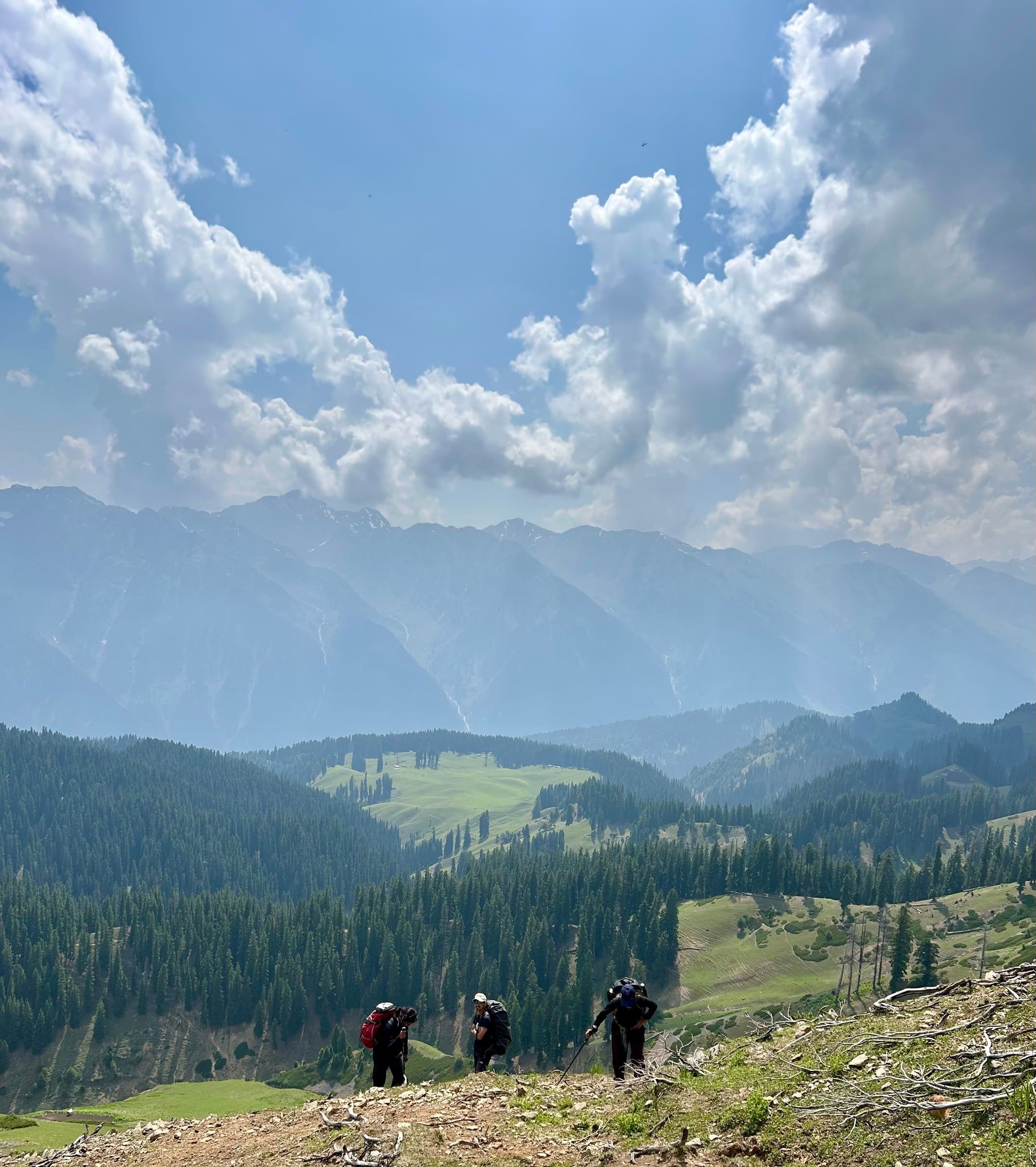 Nafran Valley Trek — Descent Conifer Valley Ridges, Kashmir