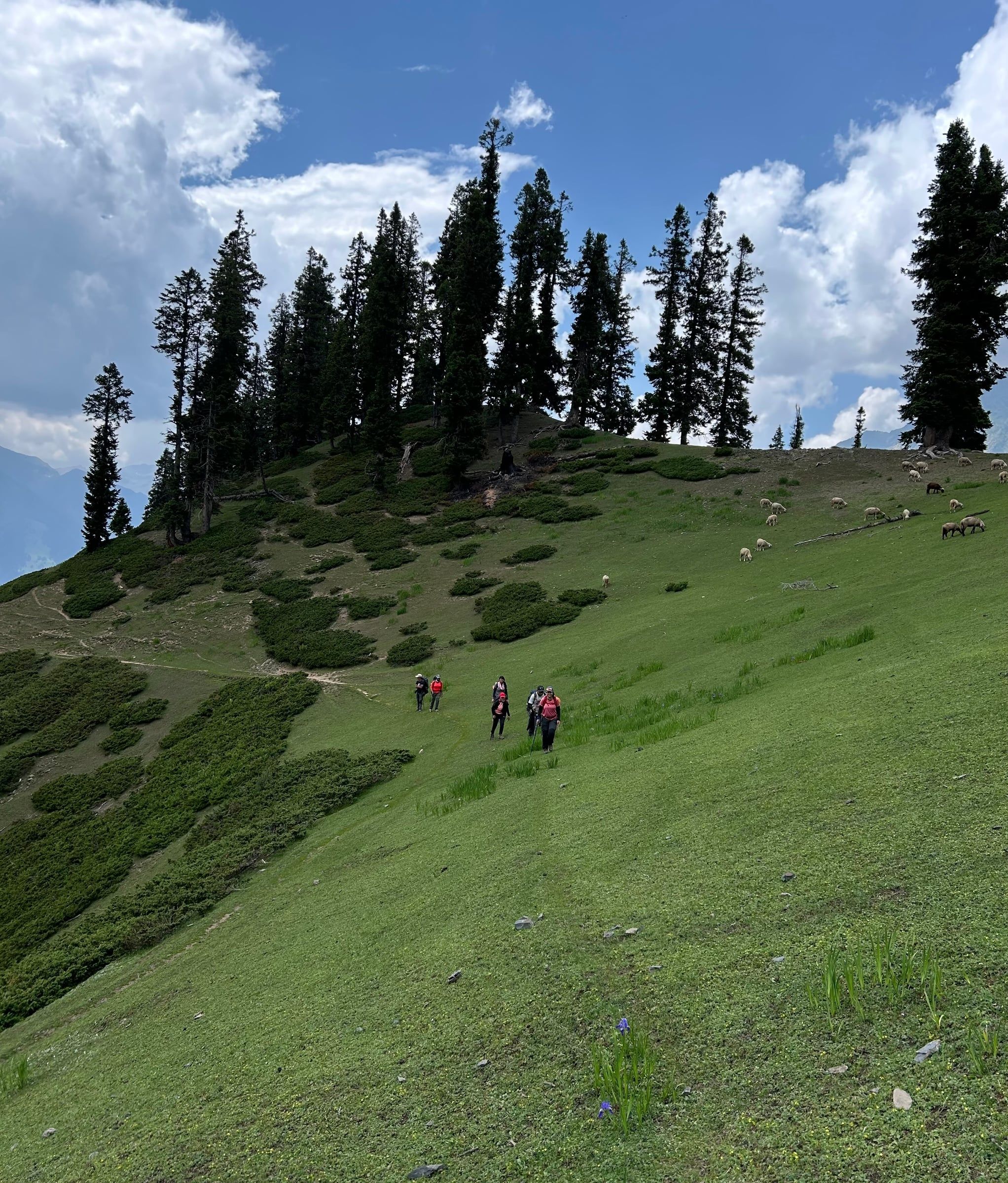 Nafran Valley Trek thumbnail 5