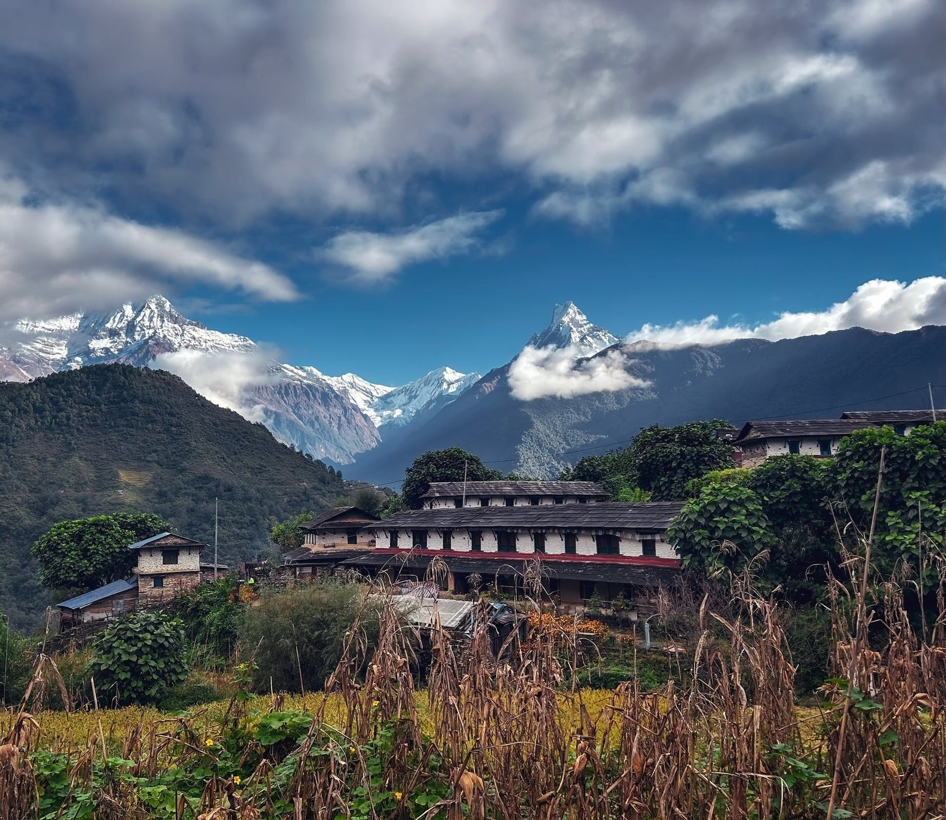 Annapurna Base Camp - Photo 1